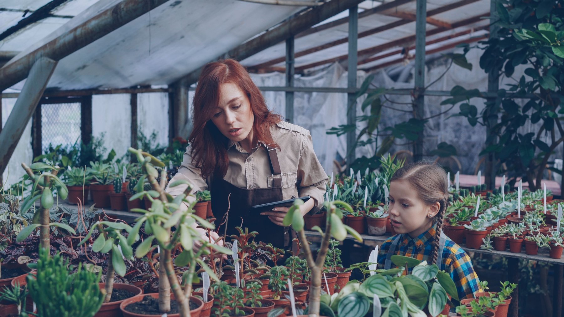 Dos generaciones cuidando plantas juntas en un invernadero, símbolo de la vinculación socioambiental